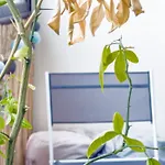 Spacieux T3 Moderne Avec Balcon 6 Pers, Hyper Centre 아파트 *