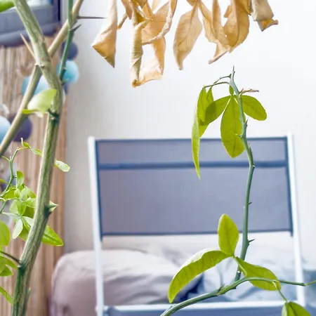 Spacieux T3 Moderne Avec Balcon 6 Pers, Hyper Centre דירה *