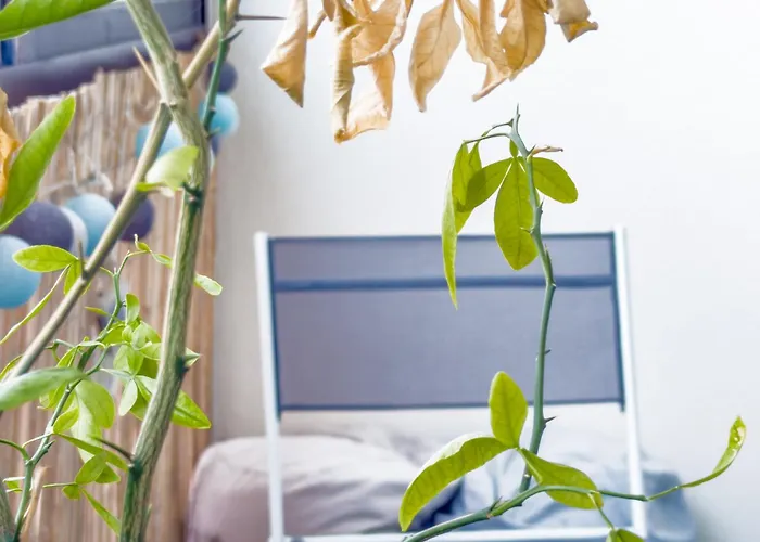 Spacieux T3 Moderne Avec Balcon 6 Pers, Hyper Centre شقة *